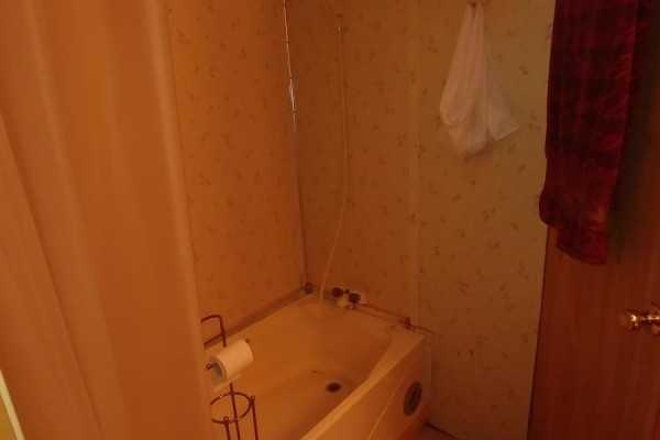 446 Burritts Road, Papineau Cameron, ON, photo 3