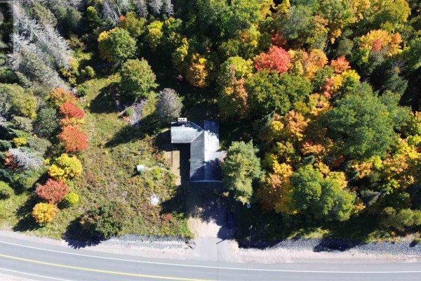Aerial view of a winding river surrounded by dense green and autumn-colored trees. - 4466 Hwy 129, Thessalon