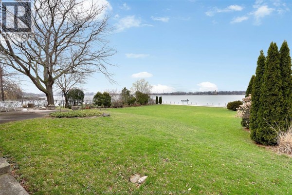 Waterfront yard with large lawn, mature trees, and distant city skyline - 4470 Riverside Windsor