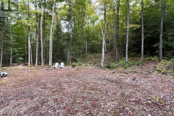 4488 Kawagama Lake Road, Algonquin Highlands, ON, photo 2