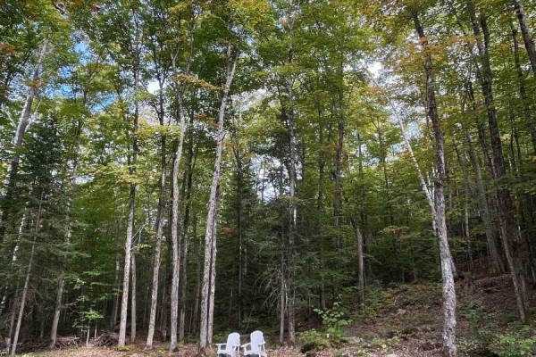 4488 Kawagama Lake Road, Algonquin Highlands, ON, photo 3