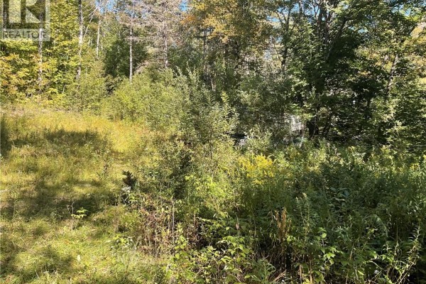 449 Harriet Oree Road, Waterford, NB E4E0H2 Photo 3