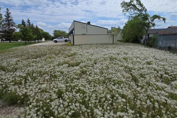 449 Main Street, Ile Des Chenes, MB R0A0T0 Photo 4