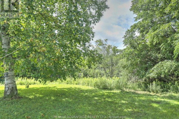 Lush green backyard with mature trees and dappled sunlight on the grass. - 45 Agincourt Gardens, London South