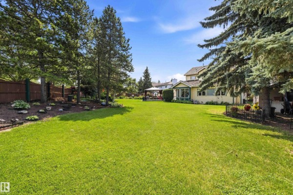 View of a large, green backyard with mature trees and a wooden fence. - 45 Blue Quill Cr Nw, Edmonton