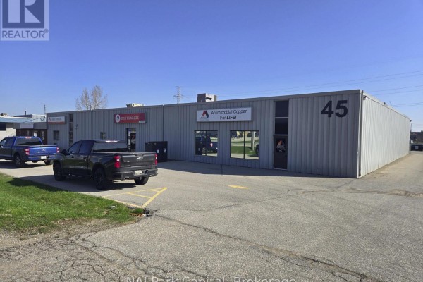 45 Lewis Road, Guelph, ON N1H1E9 Photo 2