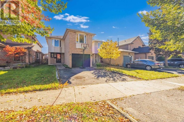 Kitchen - 45 Rosebud Avenue, Brampton, ON L6X2W4 Photo 3