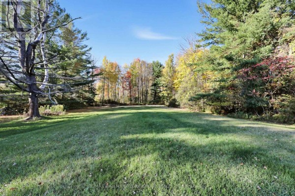 Bedroom - 450 Queensville Side Road W, East Gwillimbury, ON L9N1A7 Photo 3