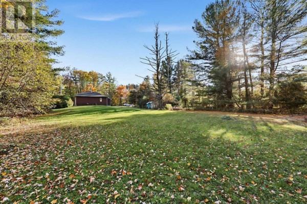 Bedroom 2 - 450 Queensville Side Road W, East Gwillimbury, ON L9N1A7 Photo 4