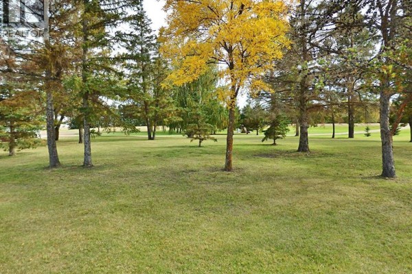 Expansive green lawn bordered by trees with colorful fall foliage under a blue sky. - 45070 514 Township, Rural Vermilion River, County Of