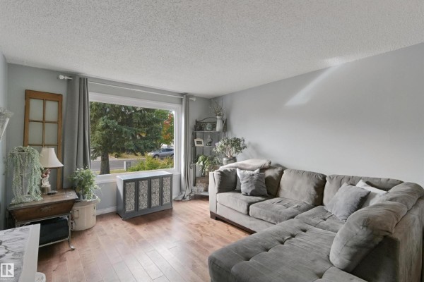 Living room with large window looking out to trees, gray sectional, and wood floor. - 4528 35 Av Nw, Edmonton
