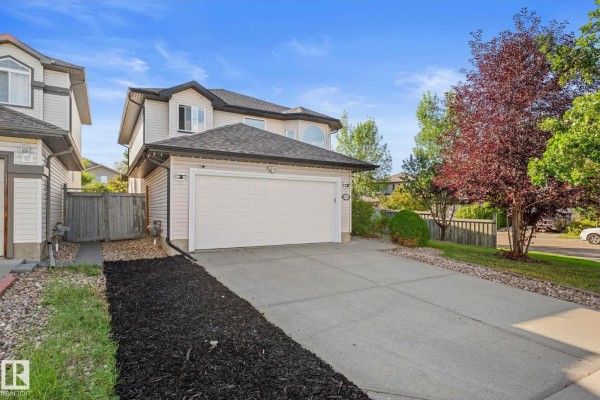 Den - 4532 210 St Nw, Edmonton, AB T6M0G5 Photo 5