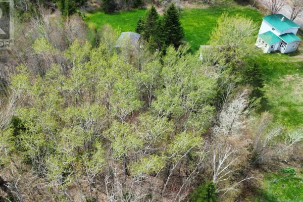 454 Mines Road, Chignecto, NS B0L0A2 Photo 5