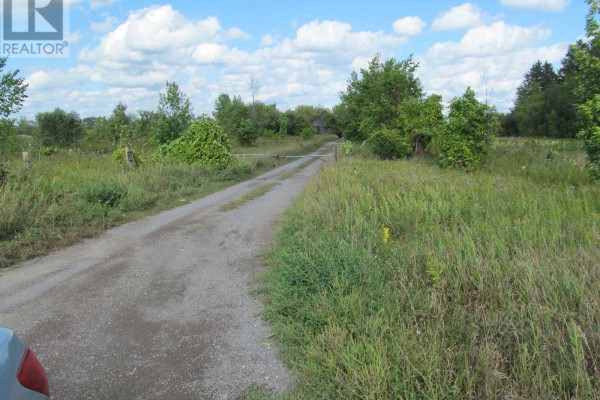 454 River Road, Mcnab/braeside, ON K7S3G8 Photo 5