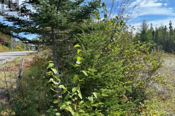 454 St. Martin's Road, Saint John, NB, photo 3