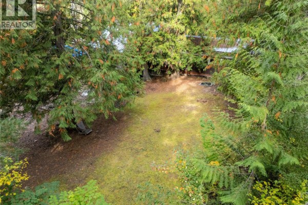 4540 Eagle Bay Road, Eagle Bay, BC V0E1T0 Photo 4