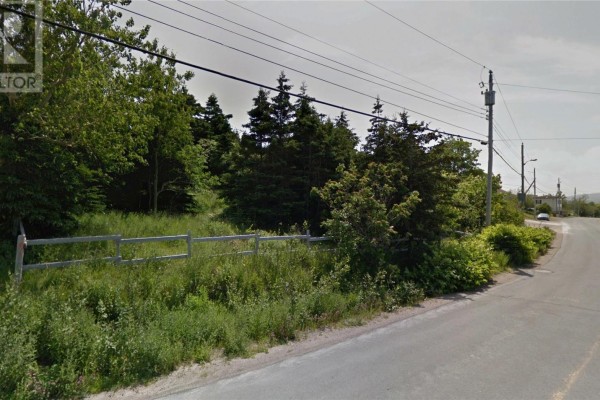 456 Southside Road, Harbour Grace, NL A0A2M0 Photo 4