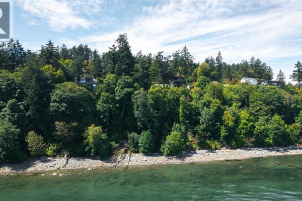 4569 Cordova Bay Rd, Saanich, BC V8X3V6 Photo 4