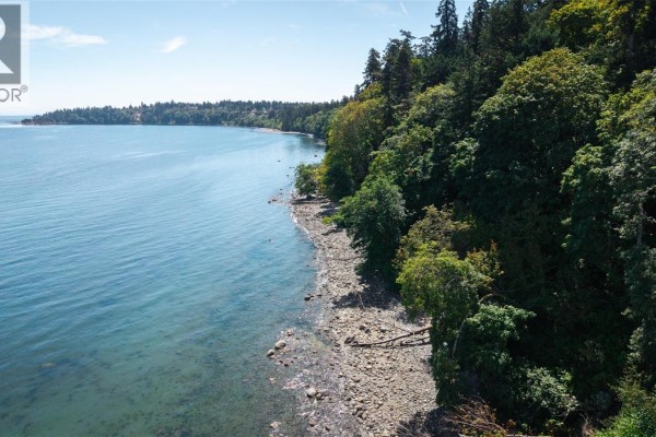 4569 Cordova Bay Rd, Saanich, BC V8X3V6 Photo 5