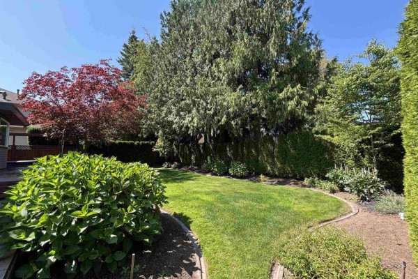 4577 217 Street, Langley, BC V3A9B7 Photo 5