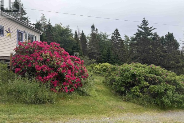 Eat in kitchen - 4587 #7 Highway, Spanish Ship Bay, NS B0J2A0 Photo 2