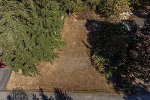 A cleared, dry grassy area with mature evergreen trees and some bushes. - 45981 Linzey Road, Cultus Lake East, Cultus Lake