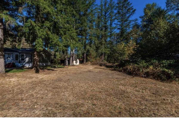 Sunny view across a dry grass field towards trees and homes. - 45981 Linzey Road, Cultus Lake East, Cultus Lake