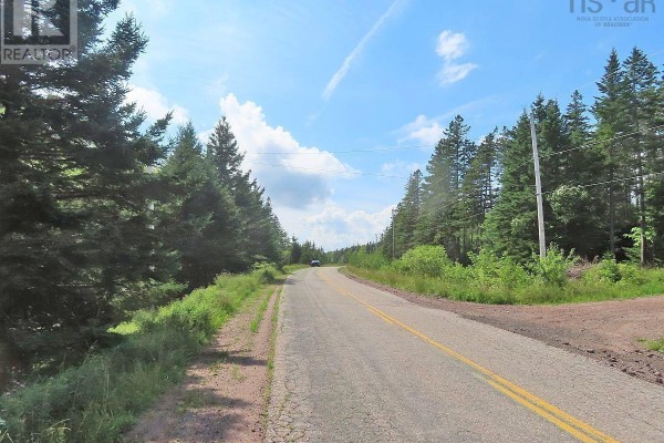 46 Acres Washabuck Road, Lower Washabuck, NS B2C1N4 Photo 2