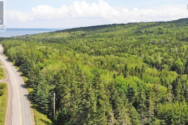 46 Acres Washabuck Road, Lower Washabuck, NS B2C1N4 Photo 3