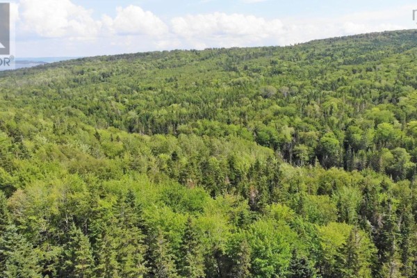 46 Acres Washabuck Road, Lower Washabuck, NS B2C1N4 Photo 4