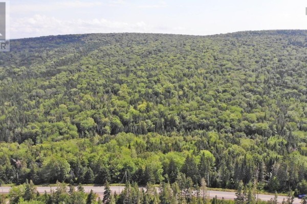 46 Acres Washabuck Road, Lower Washabuck, NS B2C1N4 Photo 5