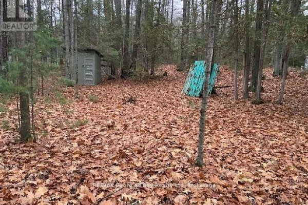 46 Oakwood Avenue N, Tiny, ON, photo 2