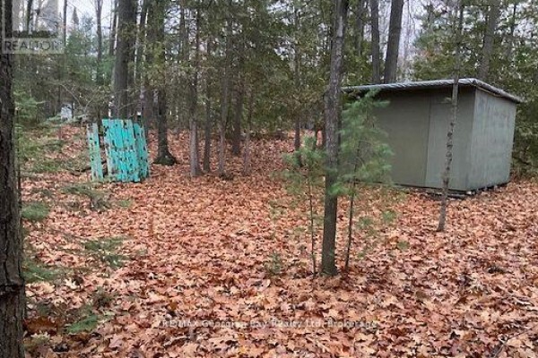 46 Oakwood Avenue N, Tiny, ON, photo 3