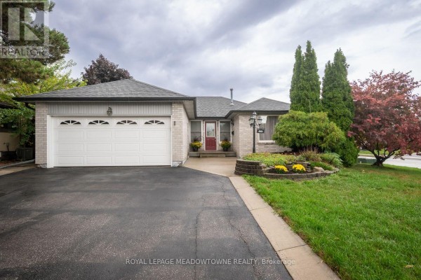 Cold room - 46 Reynier Drive, Brampton, ON L6Z1L8 Photo 2