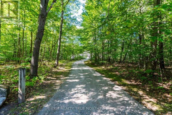 Other - 460 Concession Rd 13 E, Tiny, ON L9M0M9 Photo 4