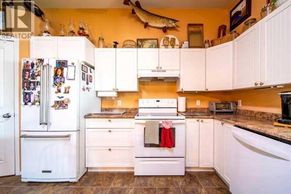 3pc Bathroom - 4608 51 Avenue, Czar, AB T0B0Z0 Photo 4