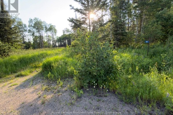 461 Alderdale Road, Chisholm, ON P0H1B0 Photo 4