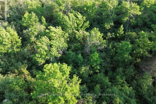 461 Alderdale Road, Chisholm, ON P0H1B0 Photo 5
