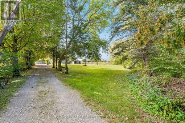 Gravel driveway leading through a treed area towards an open grassy space. - 4617 Concession Road 2 Sunnidale, Clearview