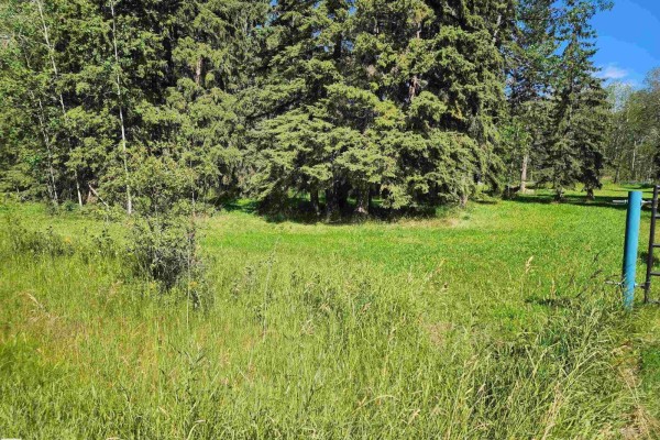 463055 Rge Road 64, Rural Wetaskiwin County, AB, photo 2