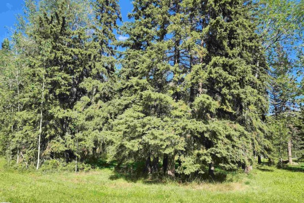 463055 Rge Road 64, Rural Wetaskiwin County, AB, photo 3