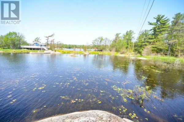 4648 Is 2190 Georgian Bay, Georgian Bay, ON P0C1H0 Photo 4