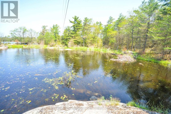 4648 Is 2190 Georgian Bay, Georgian Bay, ON P0C1H0 Photo 5