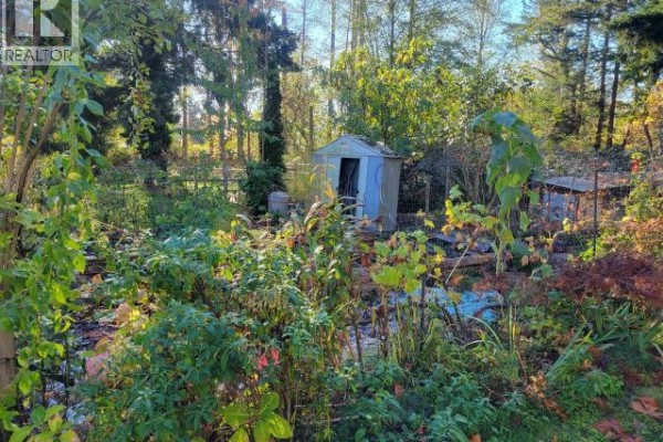 4649 Cedar Street, Texada Island, BC V0N1W0 Photo 5