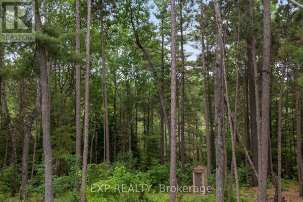 465 Humphries Road, Horton, ON K7V3Z8 Photo 3