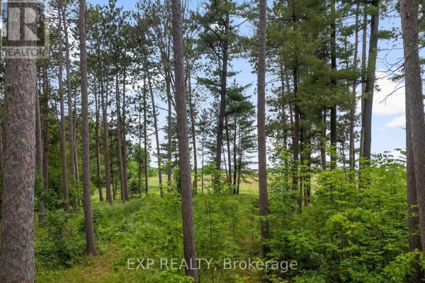 465 Humphries Road, Horton, ON K7V3Z8 Photo 5