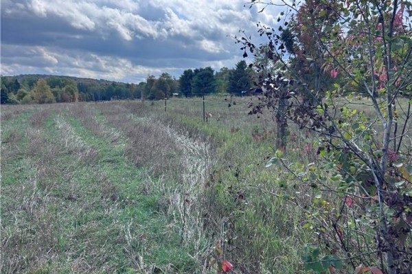 465 Mallard Lake Drive, Bancroft, ON K0L1C0 Photo 4