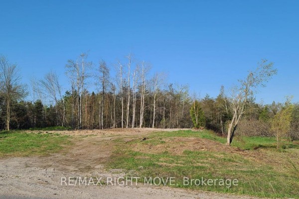 466 Line 2 Line, Oro Medonte, ON, photo 2