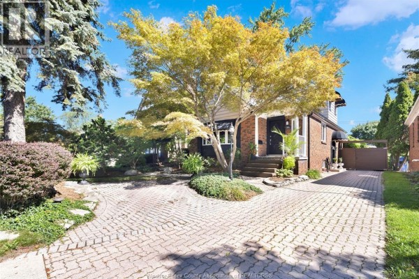 466 Matthew Brady, Windsor