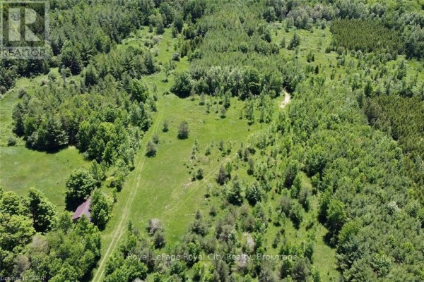 466408 12th Concession B, R.r. 4, Grey Highlands, ON N0C1E0 Photo 5